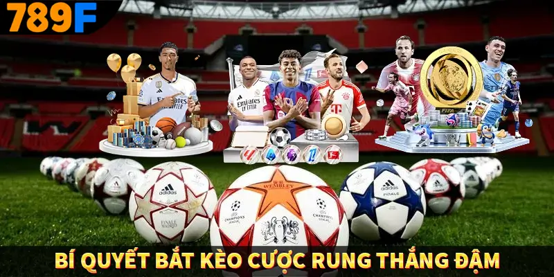 Bí quyết bắt kèo cược rung thắng đậm