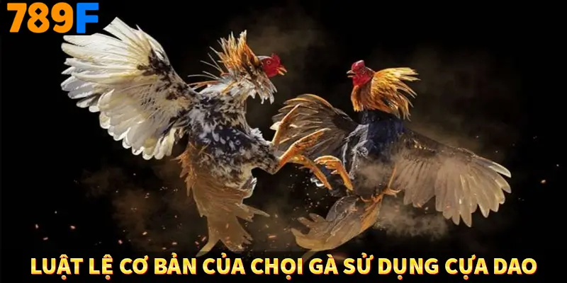 Luật lệ cơ bản của chọi gà sử dụng cựa dao