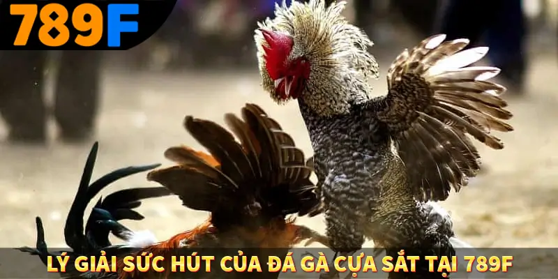 Lý giải sức hút của đá gà cựa sắt tại 789f