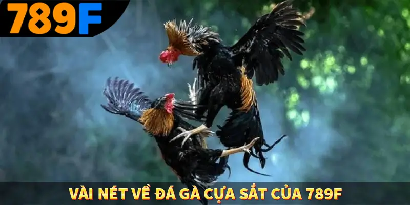 Vài nét về đá gà cựa sắt của 789F