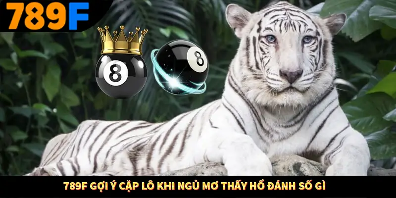 789F gợi ý cặp lô khi ngủ mơ thấy hổ đánh số gì