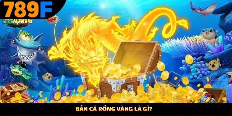 Bắn cá rồng vàng là gì?