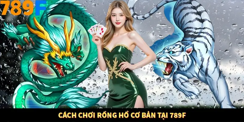 Cách chơi rồng hổ cơ bản tại 789F