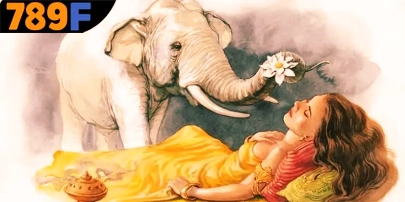 Đôi nét về việc mơ thấy con voi