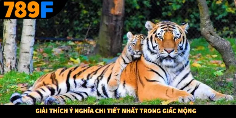 Giải thích ý nghĩa chi tiết nhất trong giấc mộng