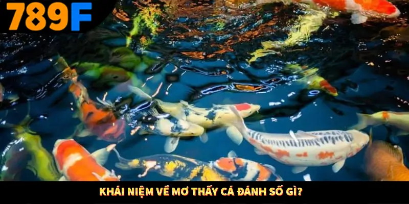 Khái niệm về mơ thấy cá đánh số gì?