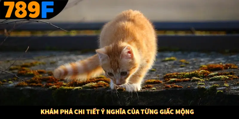 Khám phá chi tiết ý nghĩa của từng giấc mộng