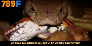 Mơ Thấy Rắn Đánh Số Gì - Bật Mí Rõ Về Điềm Báo Từ 789F
