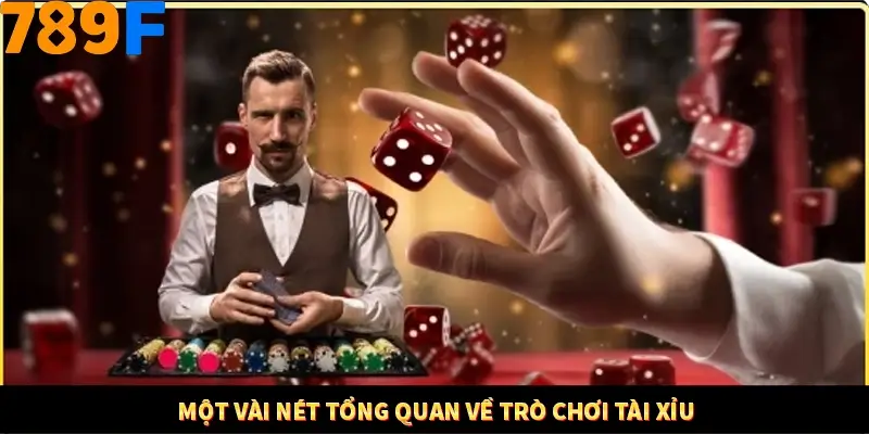 Một vài nét tổng quan về trò chơi tài xỉu