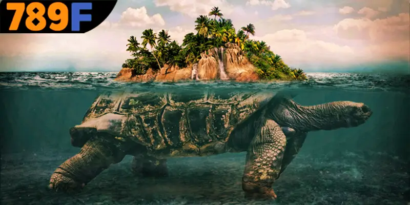 Nằm mơ thấy rùa mang lại điềm báo tốt hay xấu