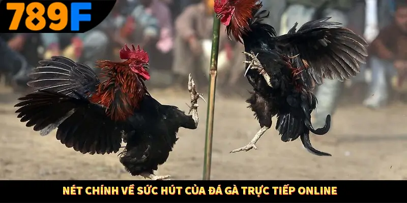 Nét chính về sức hút của đá gà trực tiếp online