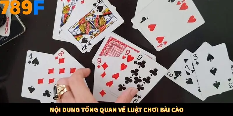 Nội dung tổng quan về luật chơi bài cào