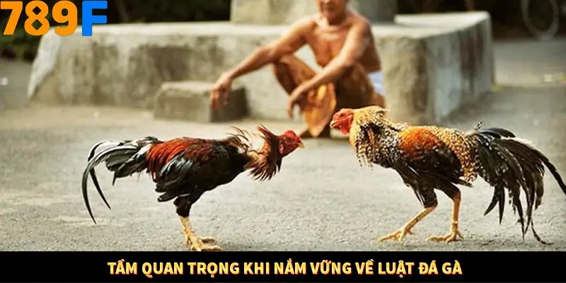 Tầm quan trọng khi nắm vững về luật đá gà