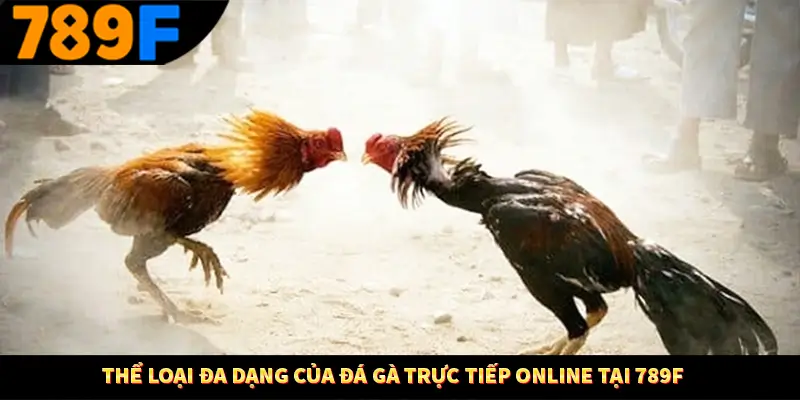Thể loại đa dạng của đá gà trực tiếp online tại 789F