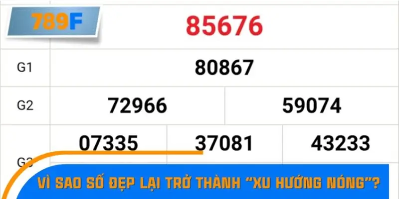 Vì sao số đẹp lại trở thành “xu hướng nóng” dịp Quốc Khánh?