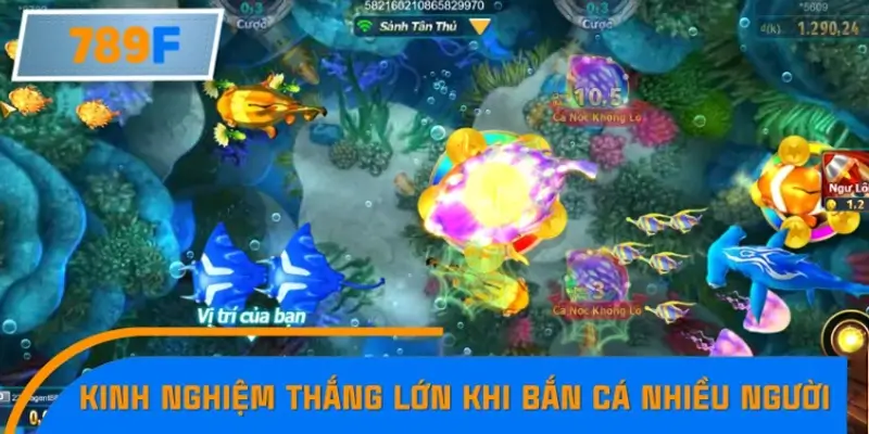 Nhận Định Kèo Tối Nay Tại 789F - Đội Nào Dễ Chiến Thắng 3 Bật mí kinh nghiệm thắng lớn trong bắn cá đa người chơi