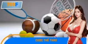 Giới Trẻ Chuộng Cá Cược Thể Thao Qua App Mobile