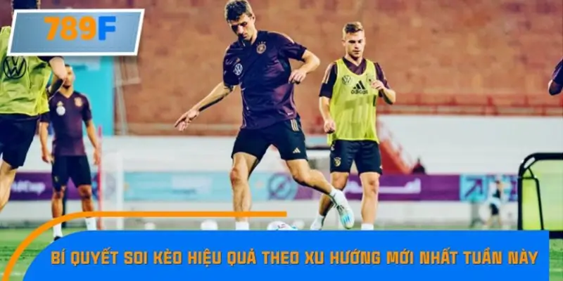 Kiểm tra biến động kèo trước giờ thi đấu