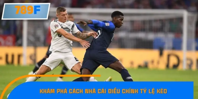 Tìm hiểu quy trình nhà cái điều chỉnh tỷ lệ kèo