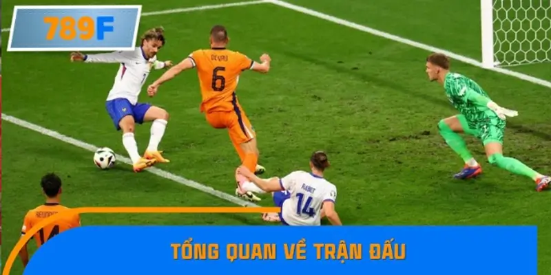 Tổng quan về trận đấu