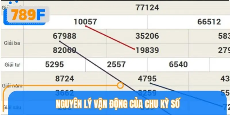 Nguyên lý vận động của chu kỳ số